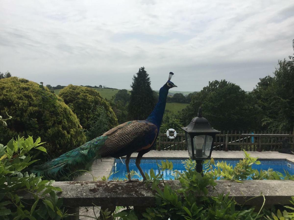 Peregrine Hall Lostwithiel Dış mekan fotoğraf